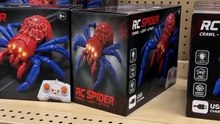RC Spider Toy for Cats — Remote Control Crawling Spider with Glowing Eyes | Interactive Cat Toy
