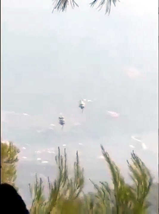 Deux hélicoptères bombardiers d'eau se percutent en Grèce : deux morts dans des vents à 100 km/h
