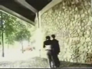 Mein Herz ist Doppelt 2 (suite)