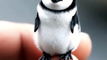 Penguin on a finger