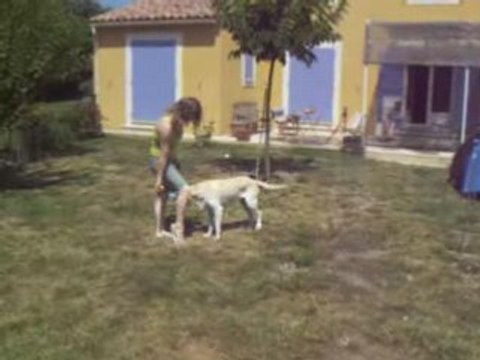 bambou en obé rythmé