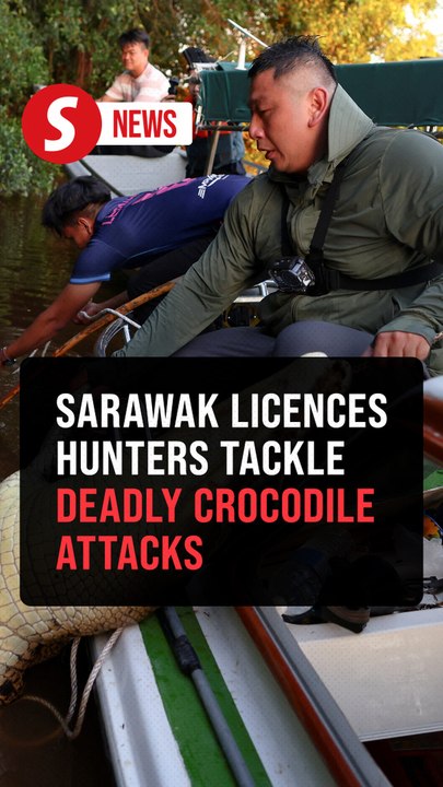 When the river bites back: The hunt for dangerous crocodiles in Sarawak