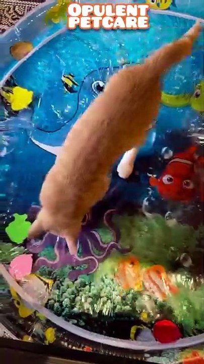 Summer Cooling for Pets: Water Bed Mat Keeps Cats & Dogs Cool 🐾❄️
