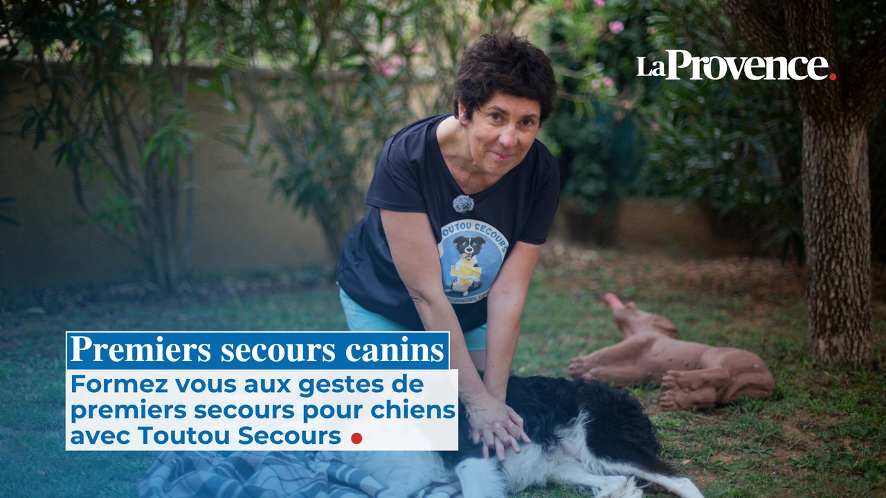 On s'est formés aux premiers secours canins avec Toutou Secours