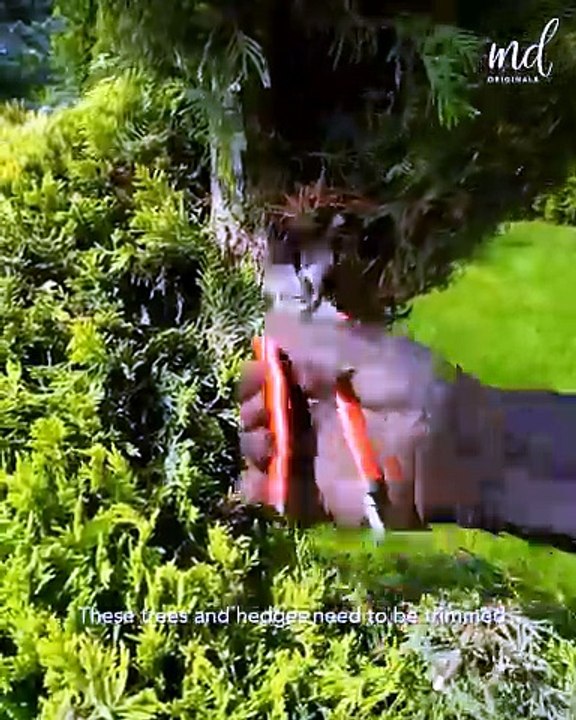 The satisfying journey of a garden makeover 🏡