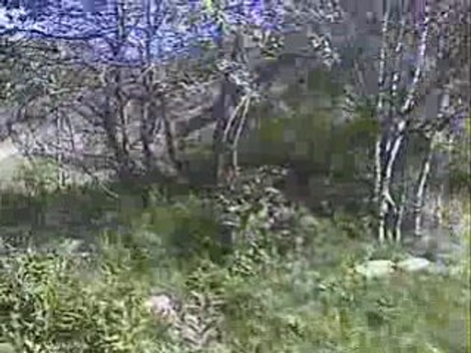 Video 04 - 21 Jun 08, 10h41