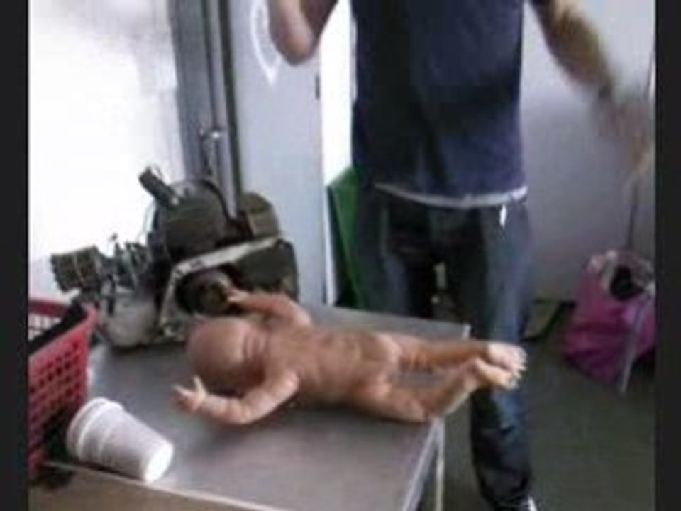 L'odeur de viande