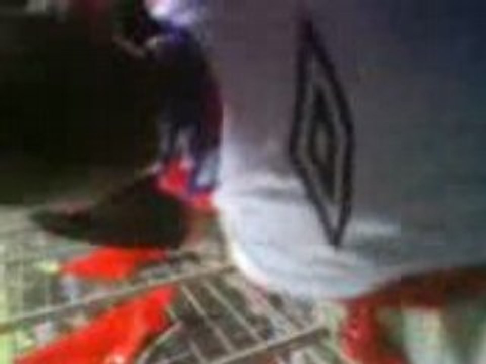 Lyon nancy virage nord bad gones