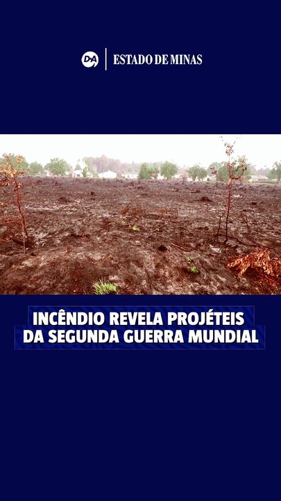 Incêndio revela vestígios da Segunda Guerra Mundial na França