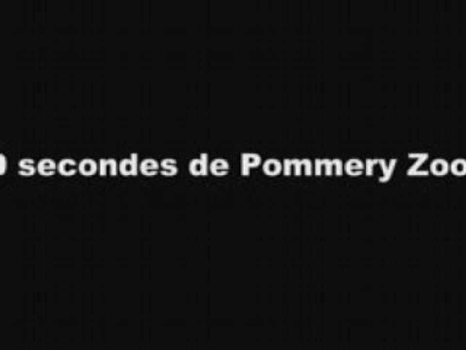 Pommery Zoo dans le bus...
