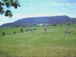 Journée cheval et plein air 2008 - Parcour avec Icare