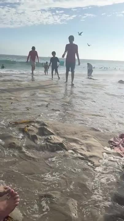 Wave Crashes Into Beachgoers