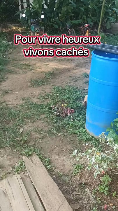 Pour vivre heureux vivons cachés