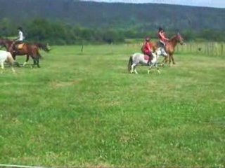 Journée cheval et plein air 2008 - Parcour avec Géole