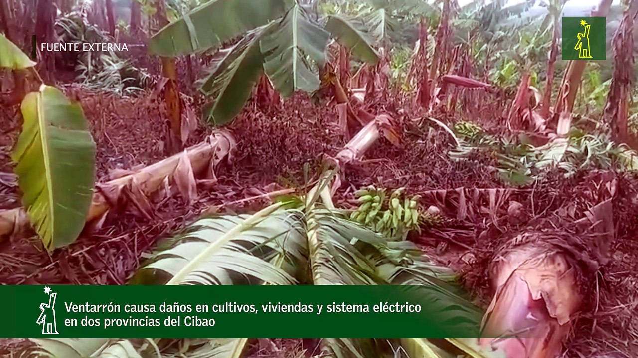 Ventarrón causa daños en cultivos, viviendas y sistema eléctrico en dos provincias del Cibao
