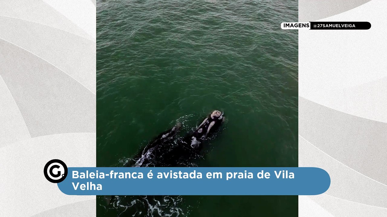 Baleia-franca é avistada em praia de Vila Velha (1)