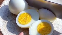 Protein-rich foods