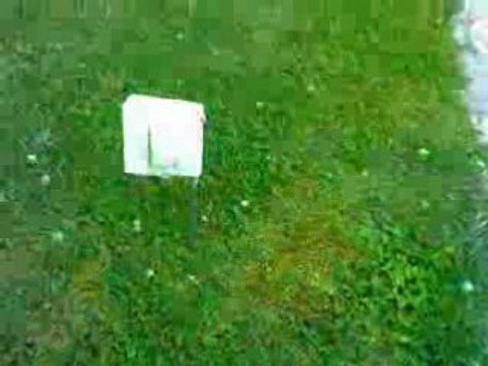 Prototype_mine_airsoft