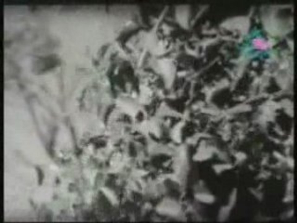 Mohiniyattam songs OLD GEMS.mp4