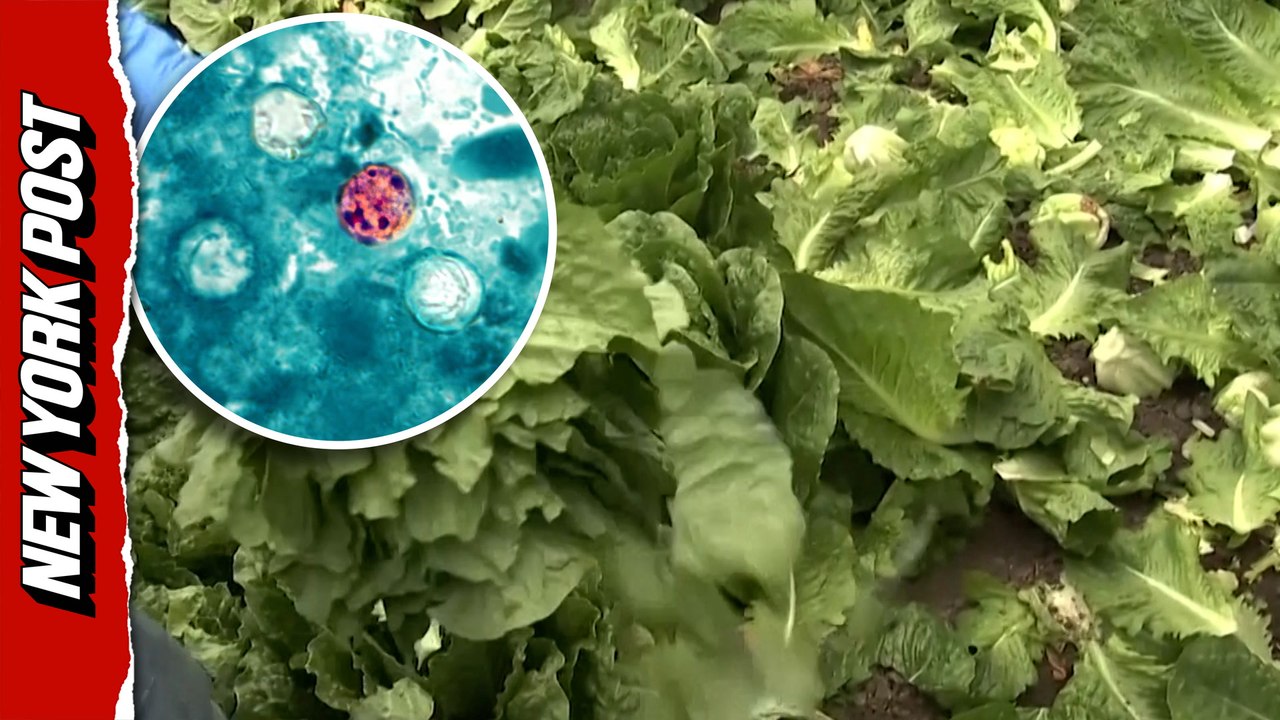 Deadly turn in historic parasite outbreak as Michigan reports first U.S. deaths