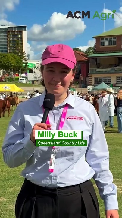 No bull: star cows spill the beans on competing in Ekka
