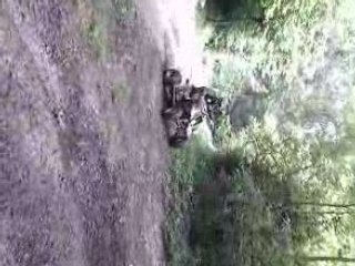 700 raptor