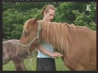 CHEVAUX SAUVES PAR DES JEUNES FORMIDABLES