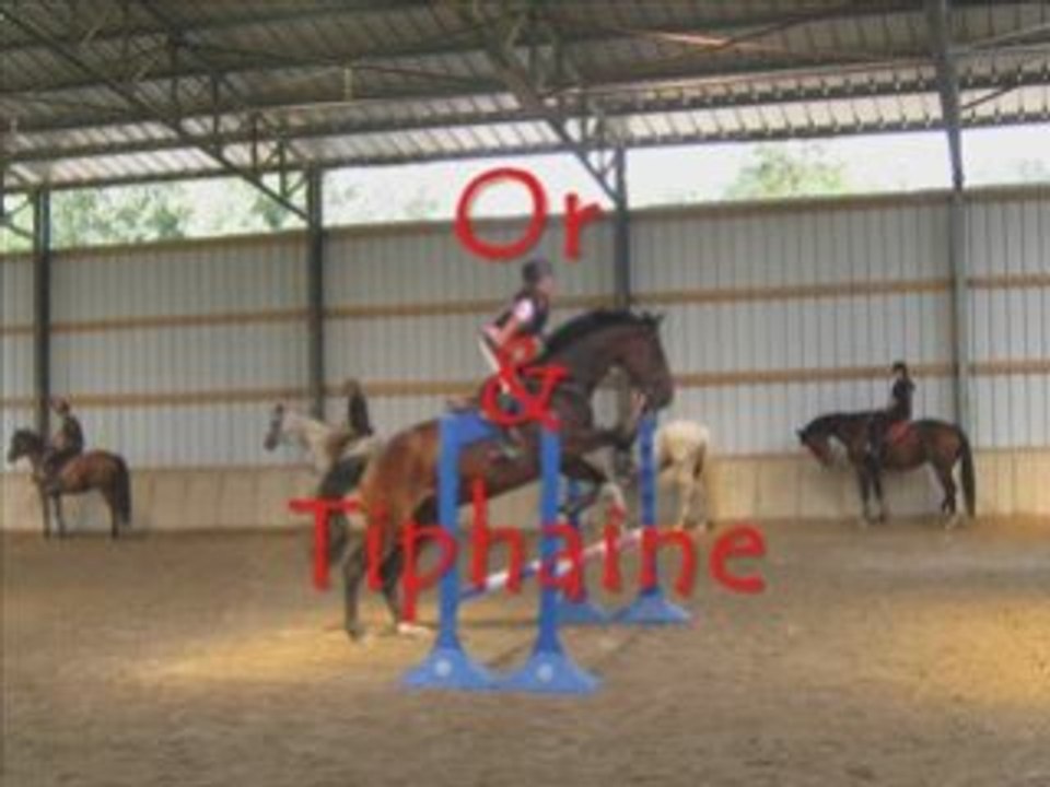 Stage juillet 2008