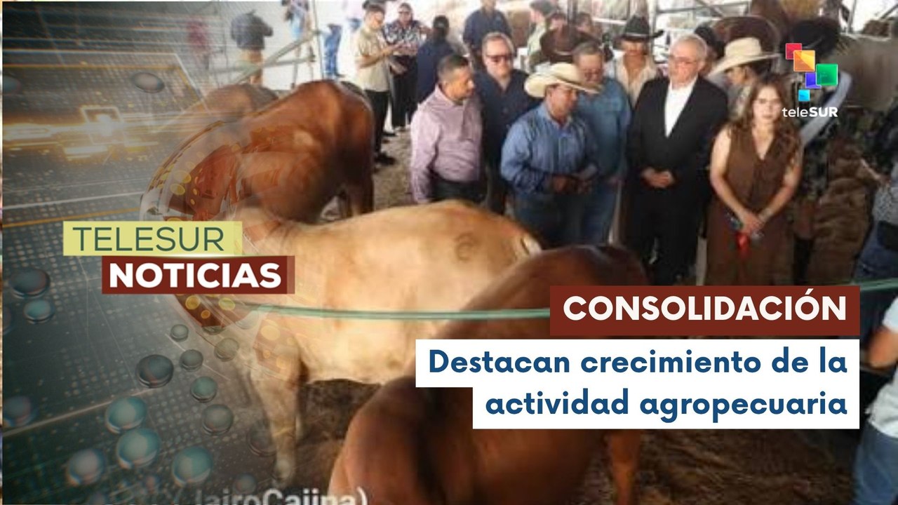 Nicaragua consolida su proyección agropecuaria