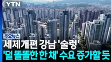 세제개편 강남 '술렁'...'덜 똘똘한 한 채' 수요 증가할 듯 / YTN