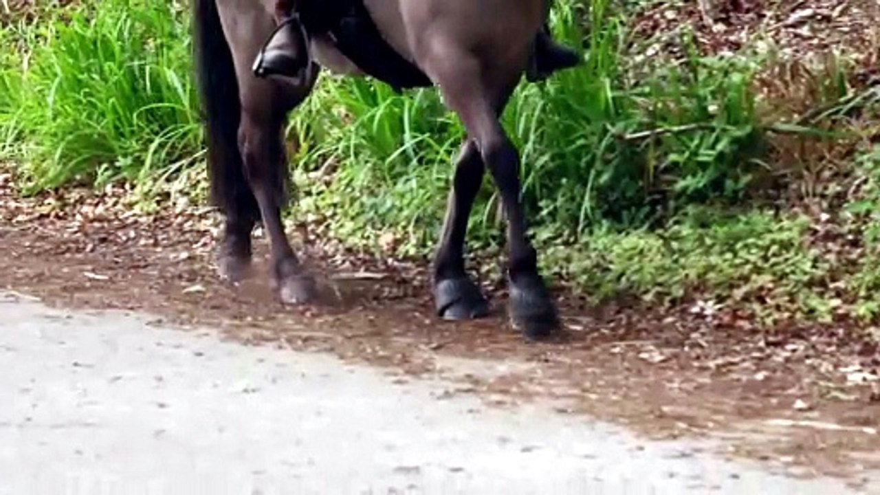 Inside Longleat S02E01