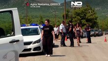 Греция: пожарные борются с крупным лесным пожаром, усиливаемым сильным ветром
