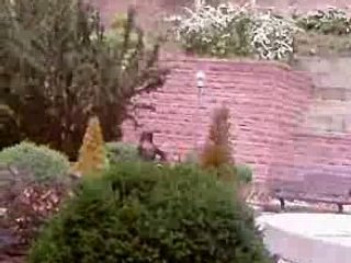 Sacrée aprem Ddikase a Jo,Yann,Flavien,Greg,Sayan et David