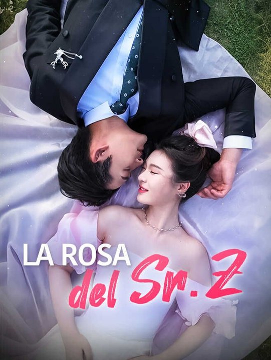 La rosa del Sr. Z en Español Drama Chino