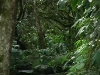 mallo à la réunion 6