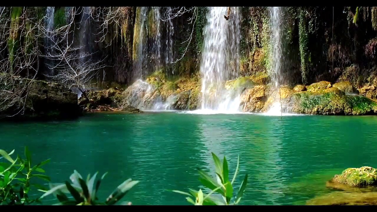 Musique Douce Relaxante 🌿 Calme Profond & Sons de la Nature _ Méditation, Sommeil & Anti Stress