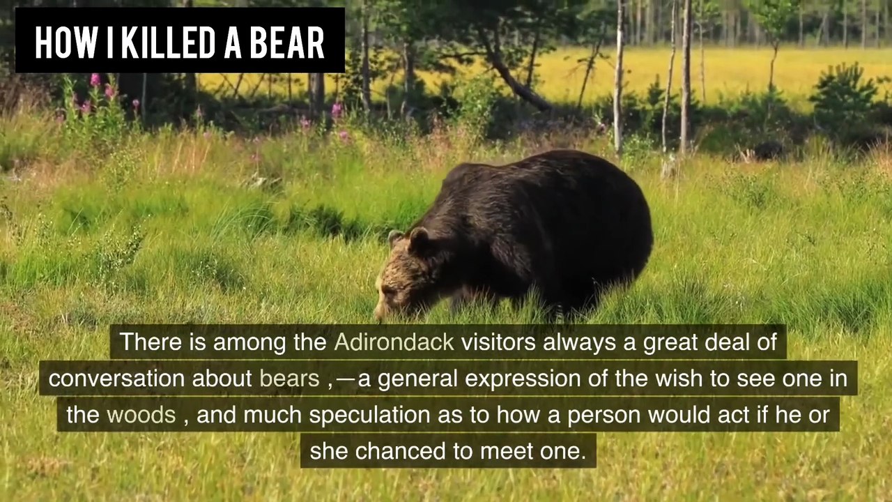Improve your English ⭐   Very Interesting Story - Level 3 - How I Killed A Bear   VOA #13