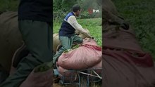 Kamyonetin Giremediği Yerde Rizelilerin Zekâsı Devreye Girdi!
