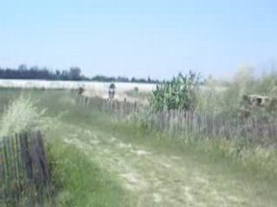 DSCN0289