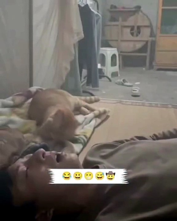 Wake Up Hooman. . .😸😸😸