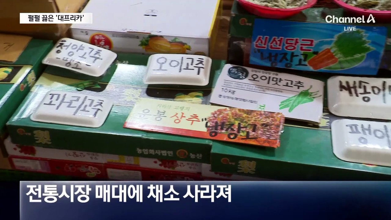 다시 ‘대프리카’…양산은 19일 연속 열대야