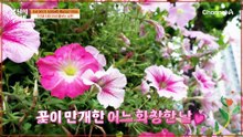 어린아이가 된 아내의 간병은 남편이 도맡아 한다?! 치매 환자를 돌보는 가족 이야기