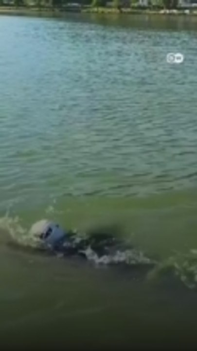 لماذا لم ينجح ألماني في إكمال سباحة 350 كم خلال 72 ساعة؟