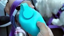 Pull. Flip. Done. — Portable Dog Water Bottle for Travel