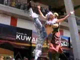 Cirque du Soleil Expo ZA 2008