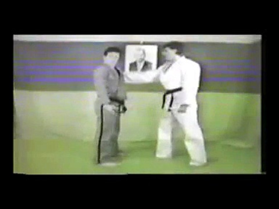 Hapkido