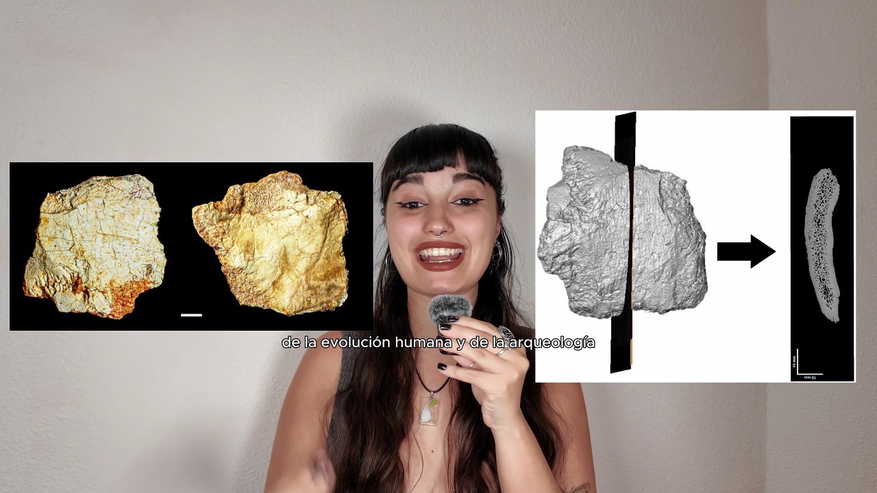 Hallan en Ruidera un fósil humano de más de 200.000 años que reescribe la historia de la evolución en Europa