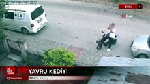 Bolu'da yavru kediyi önce öptü, sonra boğdu