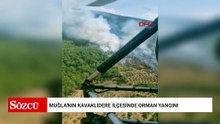 Muğla'nın Kavaklıdere ilçesinde orman yangını