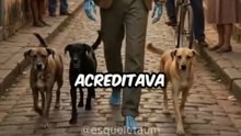 Por que Agosto é o Mês do Cachorro Louco? 🐕